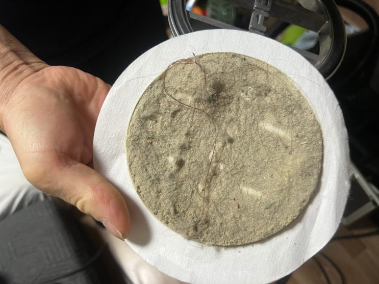 대전 청소업체 닥터쓱싹 집 거주청소 집먼지 진드기 침대 매트리스 청소 세탁 확실히