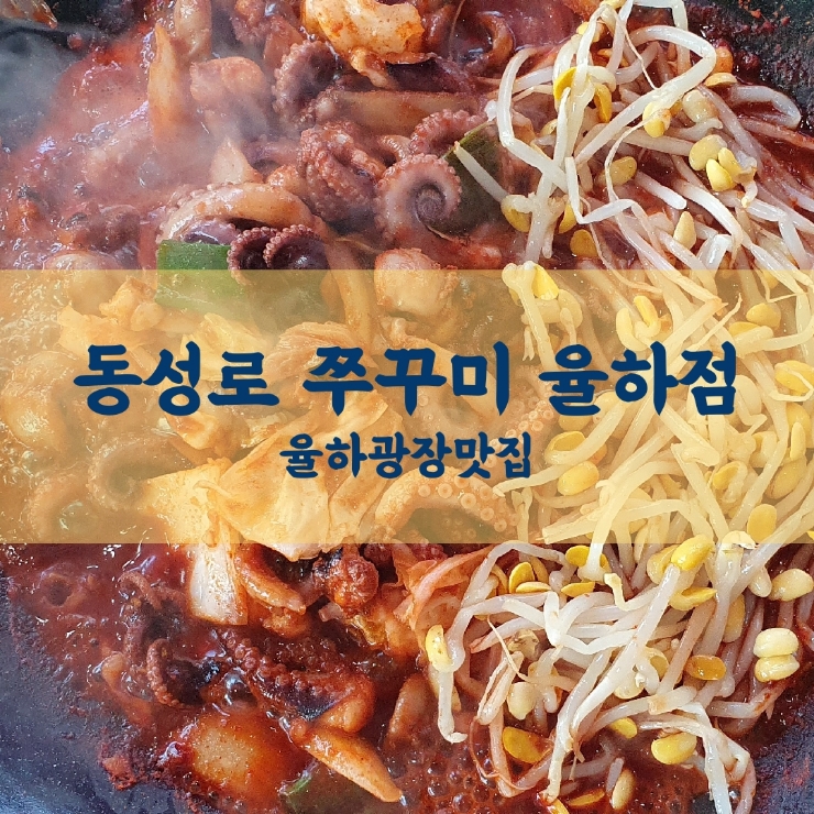  대구 율하광장 맛집 동성로 쭈꾸미 율하점