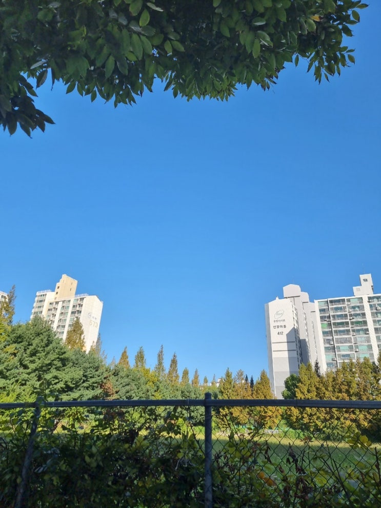 [231005] 수영 4회(첫 강습️)