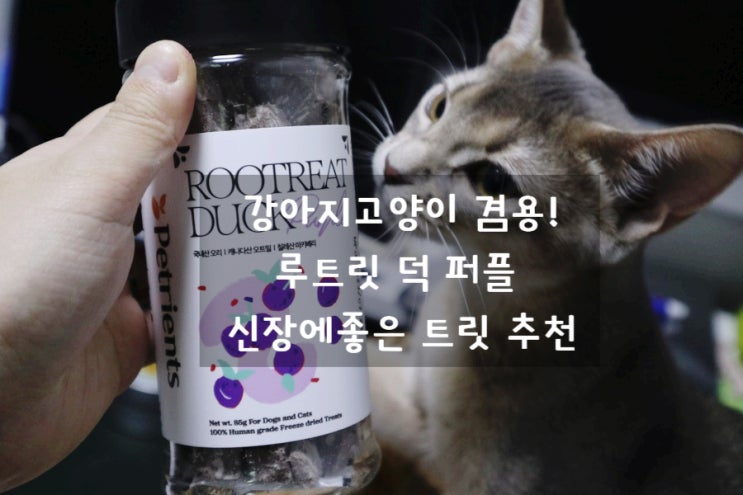  쿠팡추천템! 신장에좋은 강아지고양이 겸용 자연주의 펫트리언츠 루트릿 덕 퍼플 (칠레산 마키베리) 