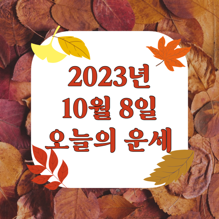  2023년 10월 8일 오늘의운세 띠별운세