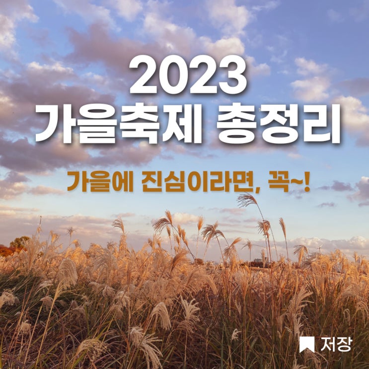  꼭 가봐야 할 가을 축제 가볼만한 곳 어디? (하늘공원억새축제 민둥산억새축제 서울숲 화담숲 광주서창 억새명소)