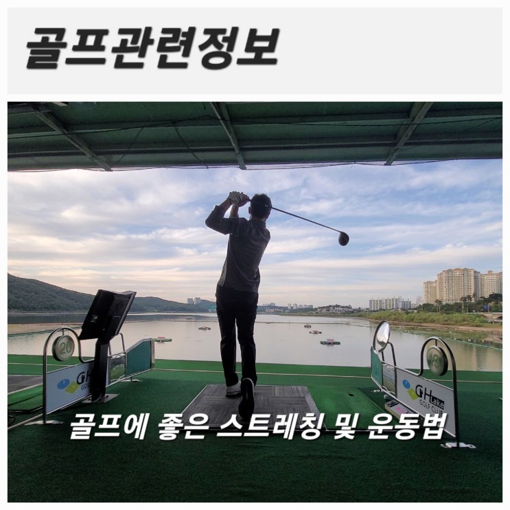 [골프관련정보] 골프에 좋은 스트레칭 및 운동 방법 공유(feat. 허리통증 완화 및 강화운동)
