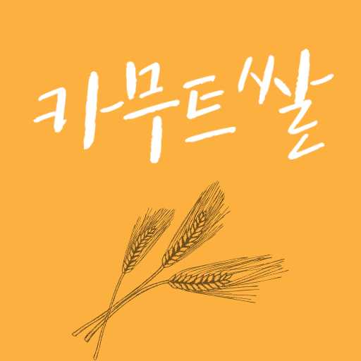  카무트쌀 효능과 부작용 카무트쌀 칼로리