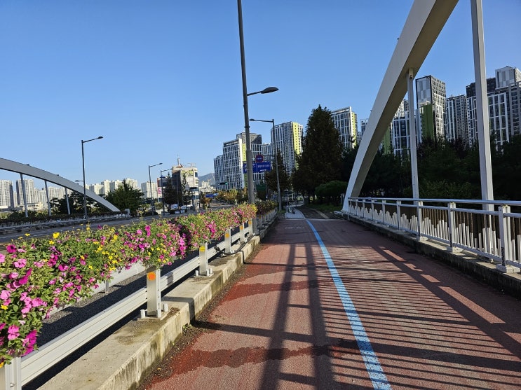  걸어서 출근, 배수로청소, 부정맥 검사, 마즙과 알로에 쥬스만들어주 아내에게 감사