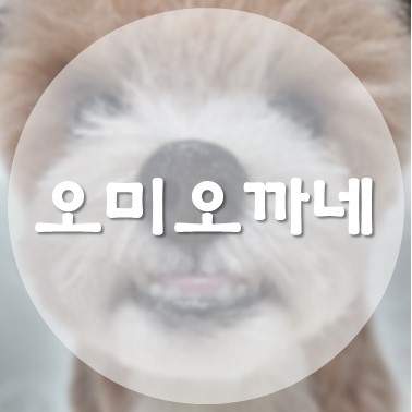  [상품 리뷰] 반려동물 양모펠트 피규어 강아지 인형 애견 아트돌 오미오까네