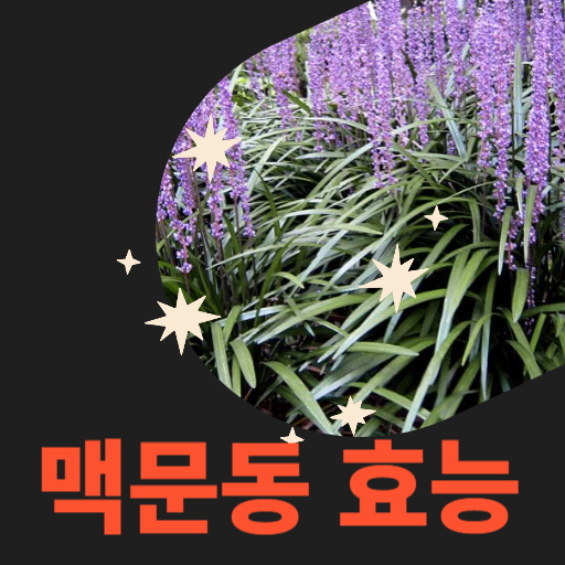  공원에서 많이 보이는 맥문동 효능 폐질환에 좋습니다