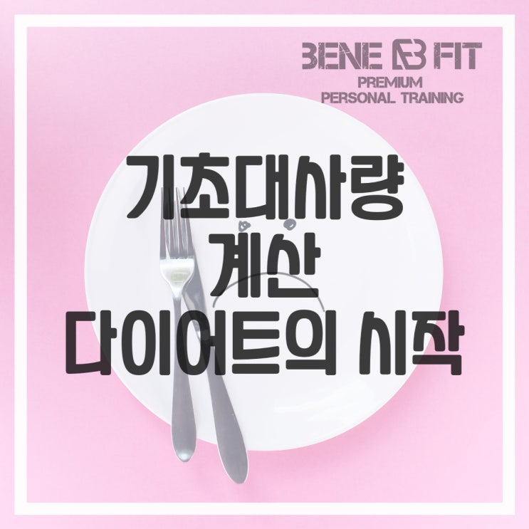 여자 기초대사량 metabolism 계산기 계산