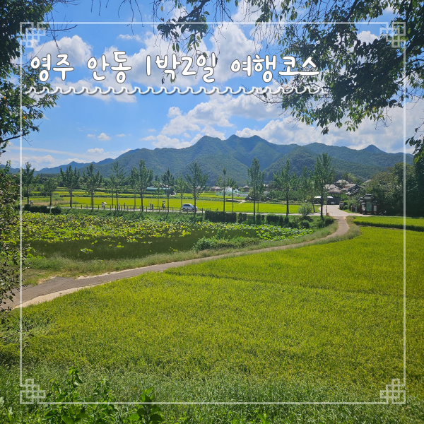  영주 안동 1박2일 여행코스 세계문화유산 투어 테마캠프
