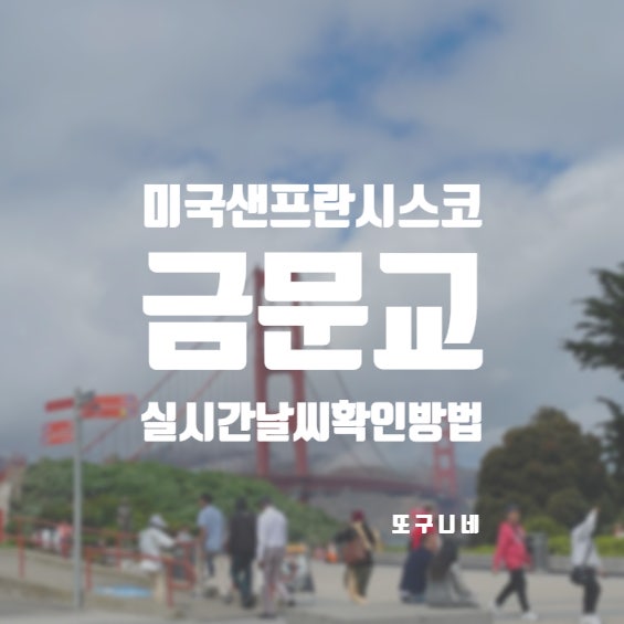  미국 금문교 실시간 날씨 확인 방법, 샌프란시스코 여행 일정 필수 추천 골든 게이트 브리지!