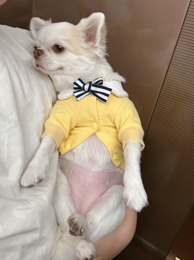 사진 5