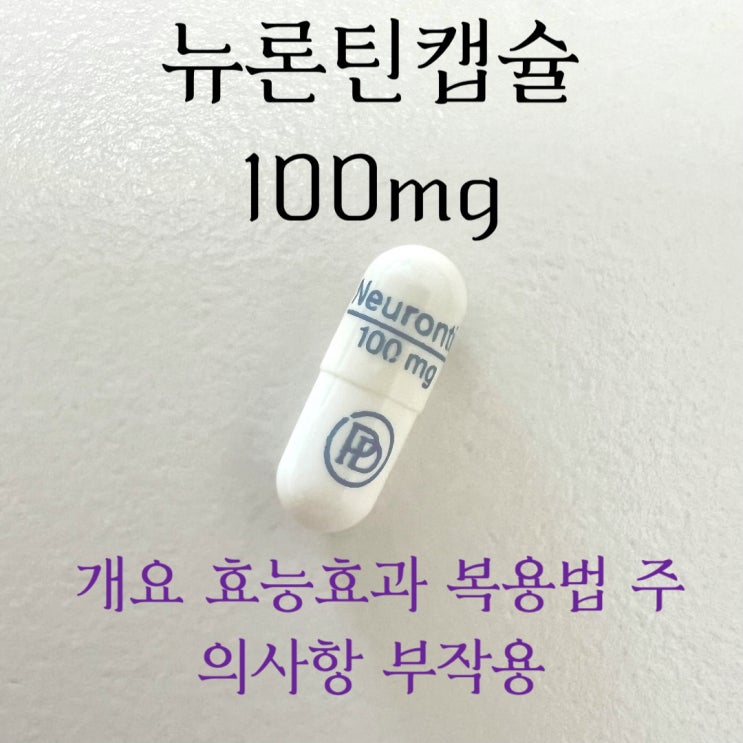  뉴론틴캡슐 100mg 개요 효능효과 복용법 주의사항 부작용