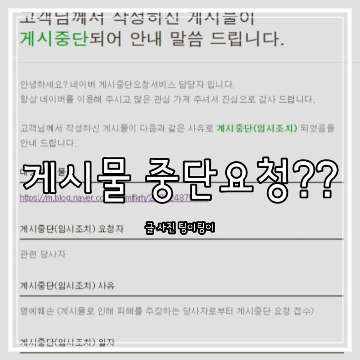  네이버 게시중단 요청 메일 처음 받아봄 (일산 웨딩박람회 후기)웨딩 플래너