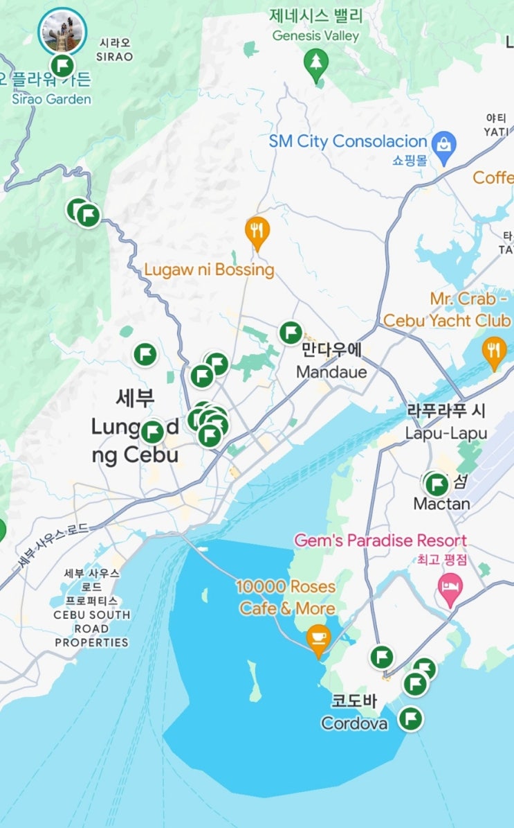  [TMI 세부] 여행준비 - 4박5일 세부 여행계획 여행준비물 트래블로그 카드 꿀팁까지