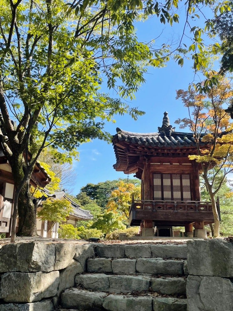  [경기 광주 맛집] 남한산성 분위기 좋은 백숙 맛집 낙선재 주말 방문 후기 (예약, 주차, 메뉴)