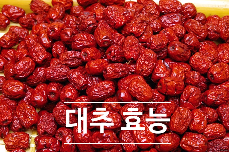  대추 효능 간단 정리 후 차 한잔합니다