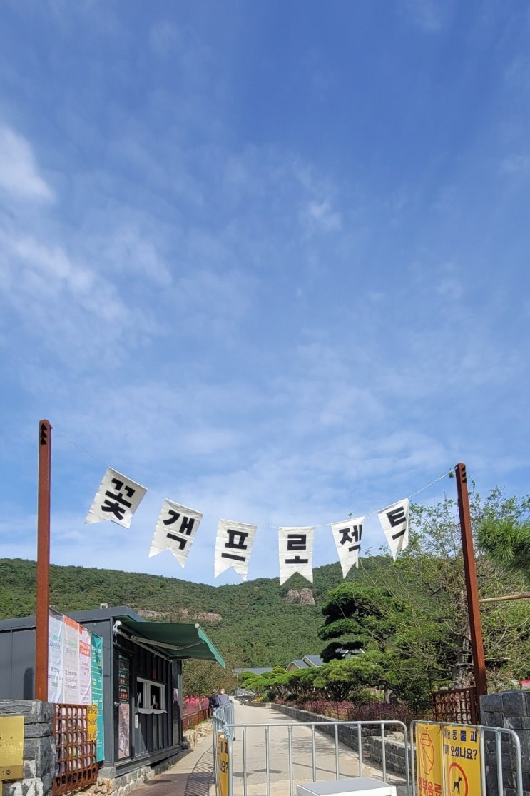  고창 가볼만한곳 가을 여행 추천 사진맛집 핑크뮬리 꽃객프로젝트