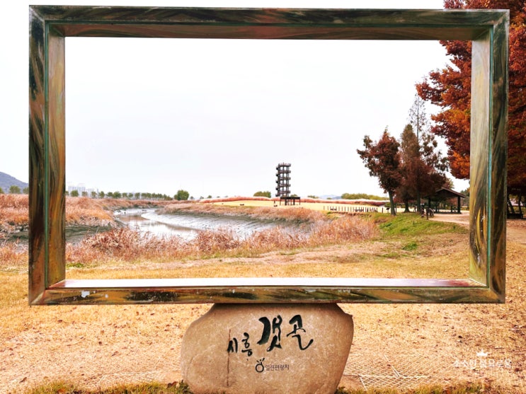  [서울 경기근교 드라이브  나들이 추천코스 - 시흥 갯골 생태공원] 가을 피크닉 추천명소! 소금놀이터, 자전거 산책코스, 포토존, 캠핑존, 주차안내 시흥 가볼만한 곳