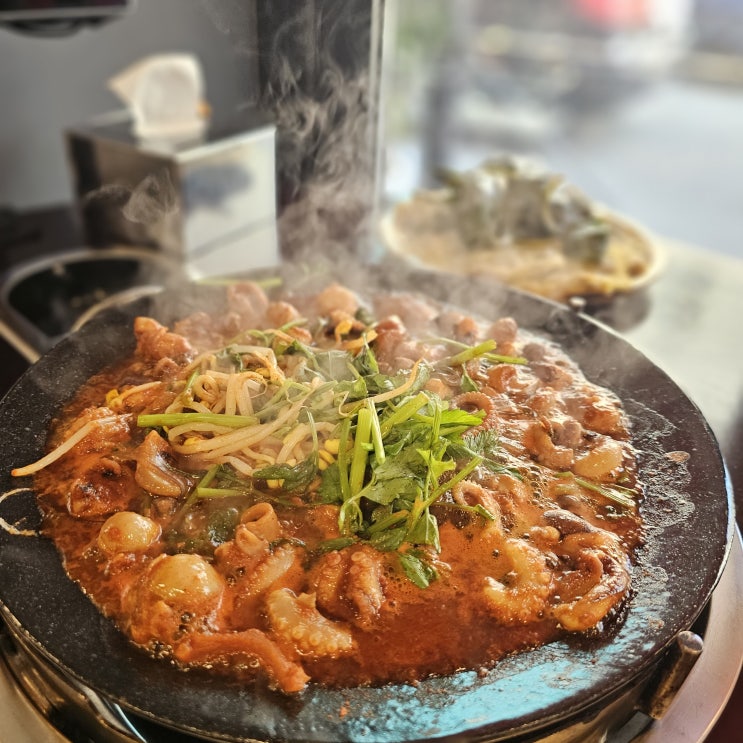  [오목교역술집] 쯔양 쭈꾸미로 유명한 《 쭈꾸미도사 》