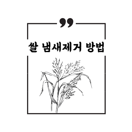  묵은쌀 냄새제거 방법 햇쌀처럼 밥짓기 방법 알려드려요