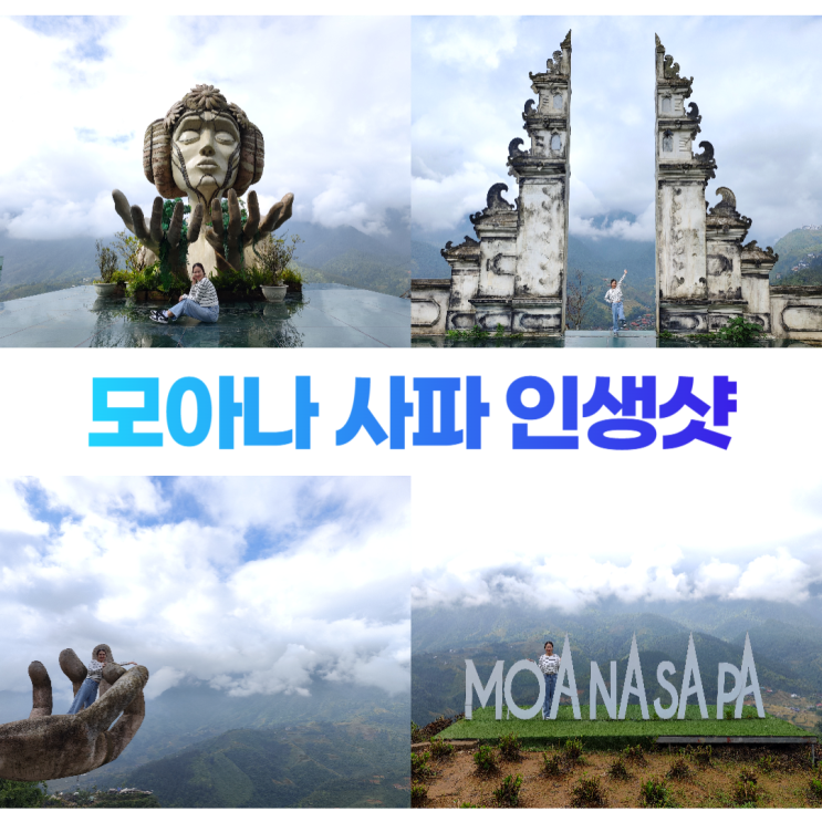 모아나 사파 인생샷 포토존 카페 모아나 사파 인생샷 포토존 카페