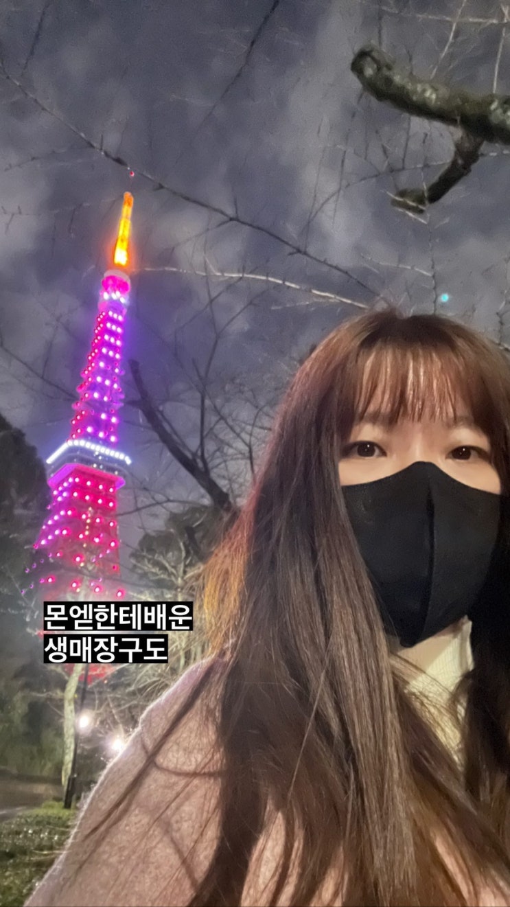  5박 6일 도쿄 여행 경비 1인 / 2023년 2월