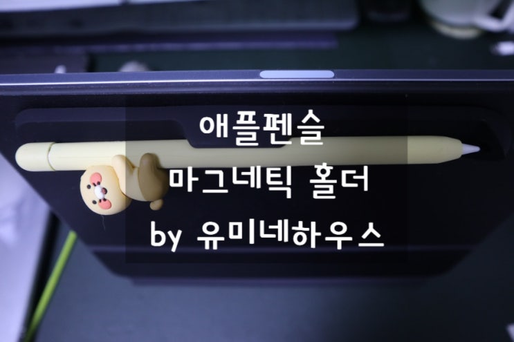  잃어버림방지! 2way 마그네틱 애플펜슬 홀더, 애플펜슬1,2 자석 케이스