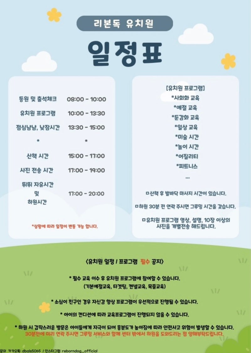 리본독 반려견교육센터/유치원