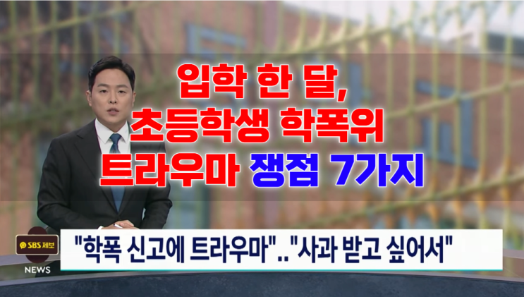  입학 한 달, 초등학생 학폭 트라우마 보도 쟁점 7가지