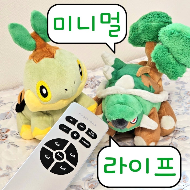 미니멀라이프 일상 - 내가 살고 싶은 삶