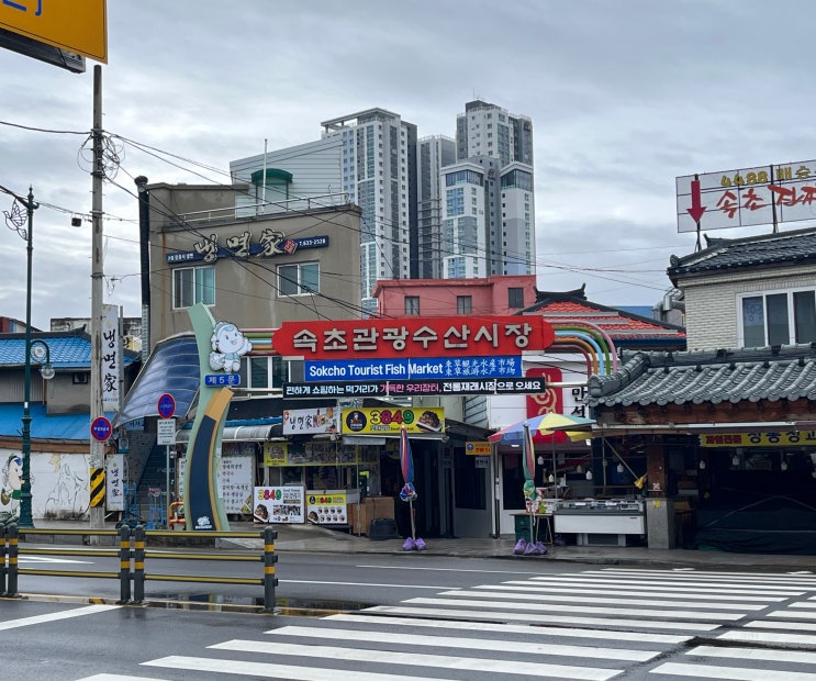  속초관광수산시장,속초중앙시장 주차장, 시간, 순대국 섭취 후기!