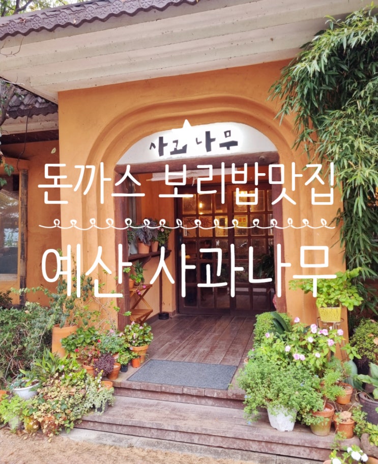  <내돈내산> 수제돈까스와 보리밥맛집 예산식당 사과나무 방문후기