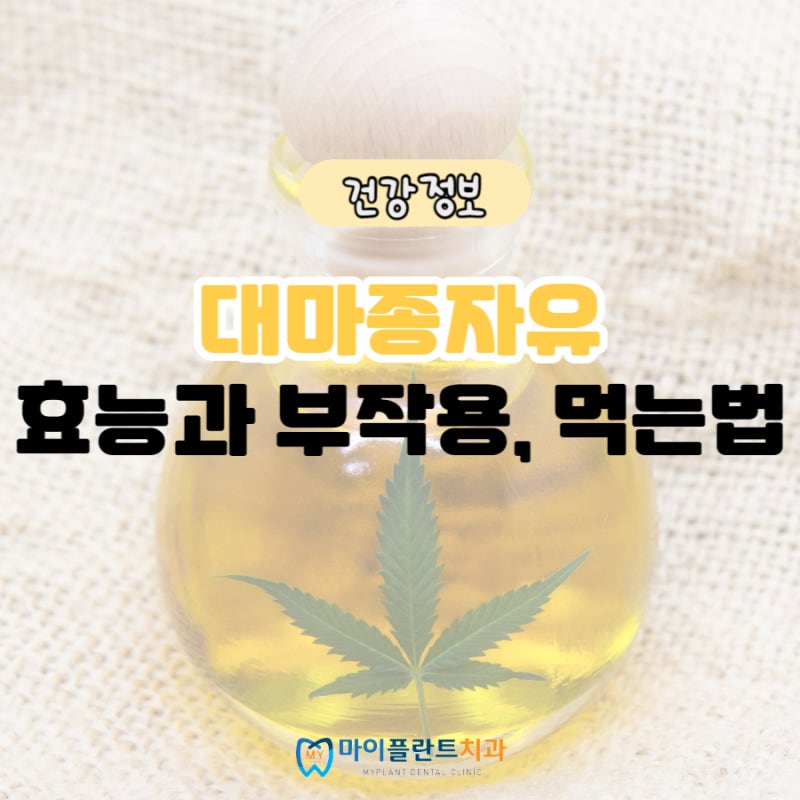 대마씨유 섭취 방법 효능 및 부작용 (연구 데이터 기준)