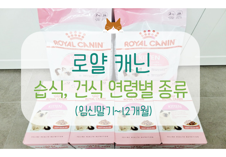  로얄캐닌 키튼 습식, 건식 연령별 종류 (임신 말기~12개월)