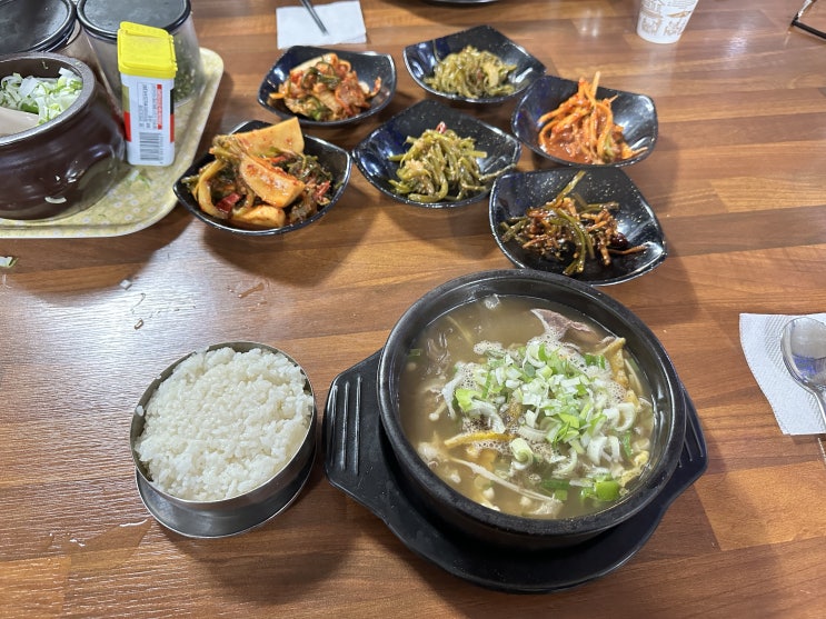  [모정] 파주 로컬 한식 맛집 뜨근하고 개운한 도가니 곰탕