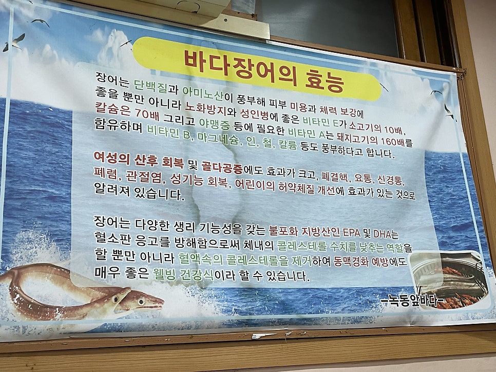 녹동앞바다 사진 5