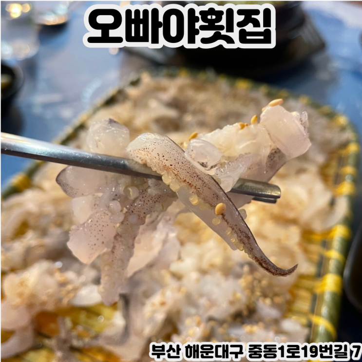  [부산 해운대] 오빠야횟집 - 해운대 회를 찾으신다면? 물회로도 유명한 해운대횟집추천, 부산 바다 구경 후 즐기는 해운대 맛집
