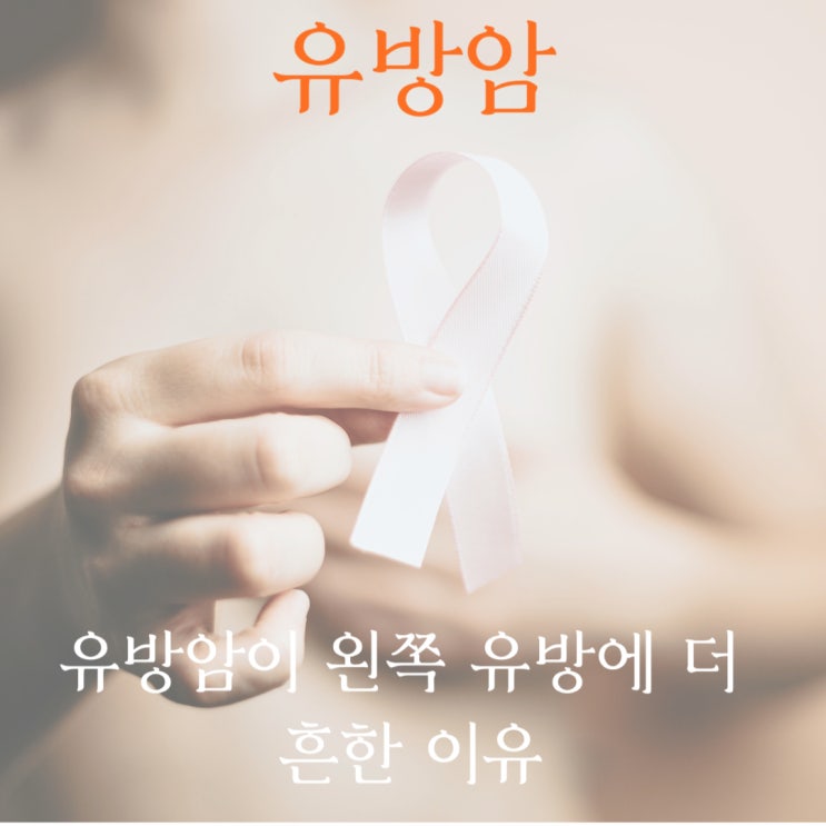  유방암이 왼쪽 유방에 더 흔한 이유
