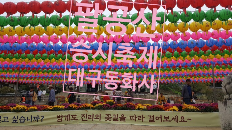  팔공산 승시축제 - 대구 동화사(가을10월축제)
