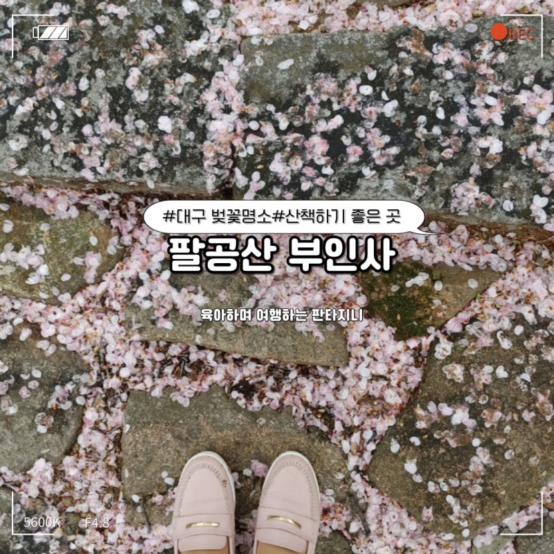 대구 벚꽃 개화시기와 벚꽃 드라이브하기 좋은 부인사 : 네이버 블로그