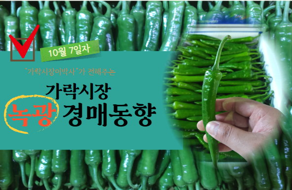  [경매사 일일보고] 10월 7일자 가락시장 녹광 경매동향을 살펴보겠습니다!