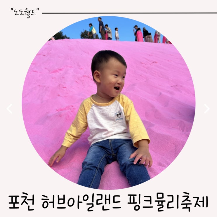  아기랑 가기좋은 서울근교 포천 허브아일랜드 핑크뮬리축제