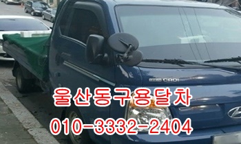 울산동구용달 방어진 입실 모화 제주도 불국사 울릉도. 울산동구용달 방어진 입실 모화 제주도 불국사 울릉도.