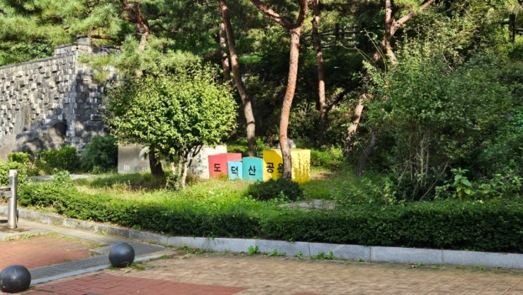  도덕산공원 | 숲 속 아이들의 놀이터 , 인공폭포 , 출렁다리