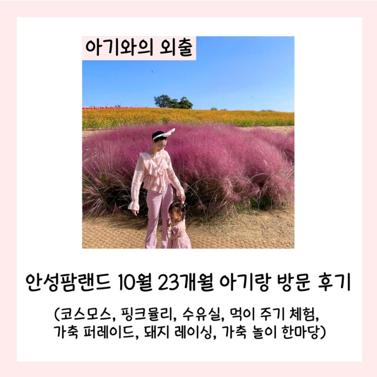  안성팜랜드 10월 23개월 아기랑 방문 후기(코스모스, 핑크 뮬리, 수유실, 먹이 주기 체험, 가축 퍼레이드, 돼지 레이싱, 가축 놀이 한마당)