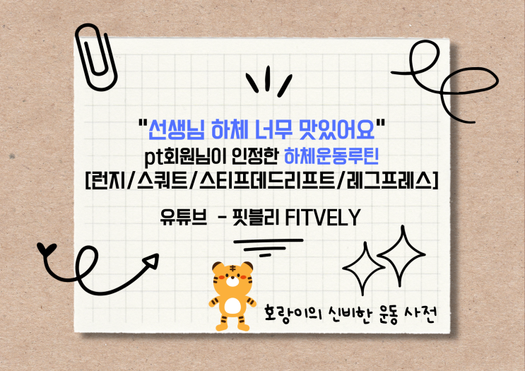  #16 "선생님 하체 너무 맛있어요" PT회원님이 인정한 하체운동루틴 [런지/스쿼트/스티프데드리프트드/레그프레스] - 핏블리 FITELY