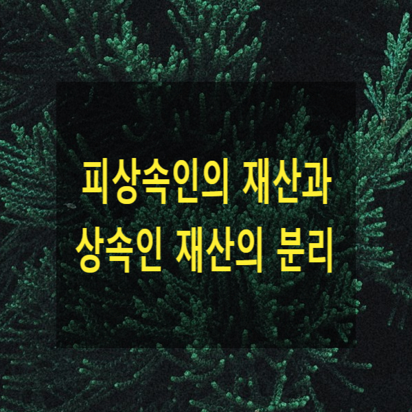  상속 - 피상속인의 재산과 상속인 재산의 분리