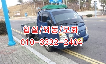 입실용달 외동 모화 불국사 제주도 양북 감포 울릉도. 입실용달 외동 모화 불국사 제주도 양북 감포 울릉도.