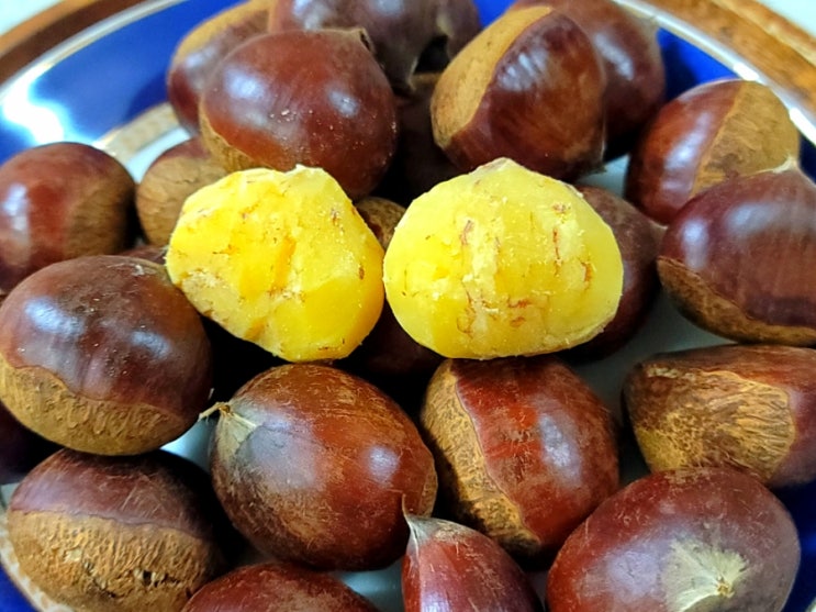  밤제철 손쉬운 밤삶기 밤 삶는 방법 알려드려요
