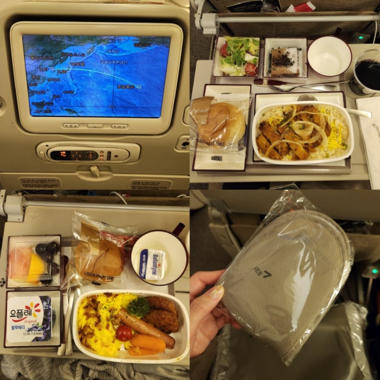  하와이 아시아나항공 하와이 직항 기내식 및 탑승 솔직후기